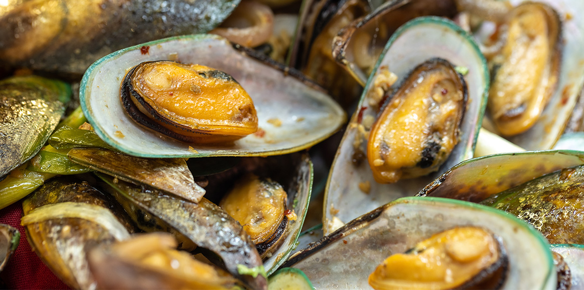 Mussels